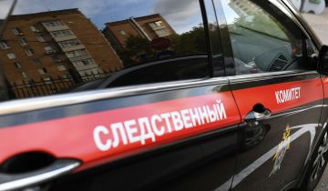 СК объявил в розыск суррогатную мать по громкому делу о торговле детьми СК объявил в розыск суррогатную мать по громкому делу о торговле детьми