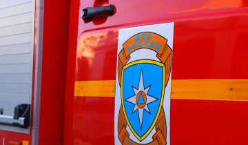 Школьник, спасший тонущего друга в Подмосковье, получит медаль МЧС Школьник, спасший тонущего друга в Подмосковье, получит медаль МЧС