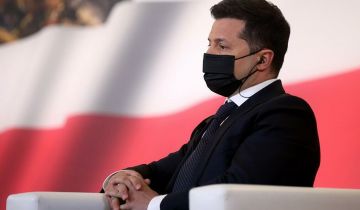 Зеленский провозгласил "войну в Европе" из-за Крыма и Донбасса Зеленский провозгласил "войну в Европе" из-за Крыма и Донбасса