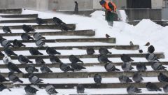 Москвичей просят не садиться за руль из-за ожидаемого снегопада