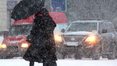 Мокрый снег и дождь ожидаются в Москве во вторник