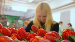 Ульяновский совхоз поставит в московские магазины 1,5 млн тюльпанов