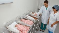Рождаемость в Подмосковье за год выросла на 4%, а смертность снизилась