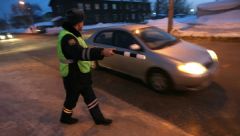 ГИБДД возьмет дороги Москвы под особый контроль во время каникул
