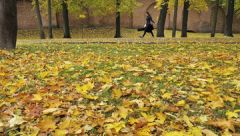 Опавшие листья не будут убирать с московских газонов