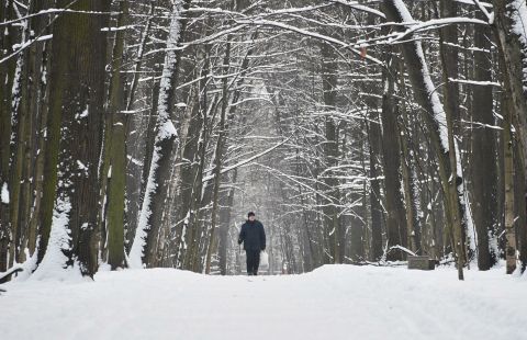 Сугробы в Москве после снегопада выросли до 37 сантиметров