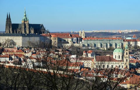 Глава МИД Чехии не исключил дальнейших шагов в отношении России