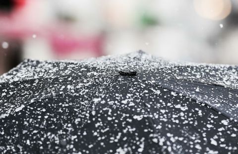 Жителей Подмосковья предупредили о возможном дожде с мокрым снегом
