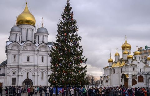Дети вырастили деревца из семян кремлевской елки и посадят их в лесу