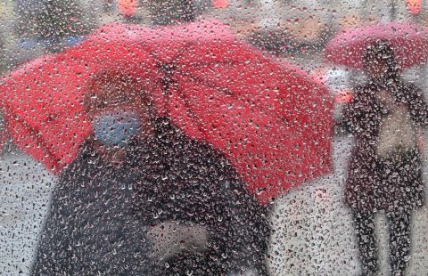 В Москве за сутки выпало до 20% месячной нормы осадков